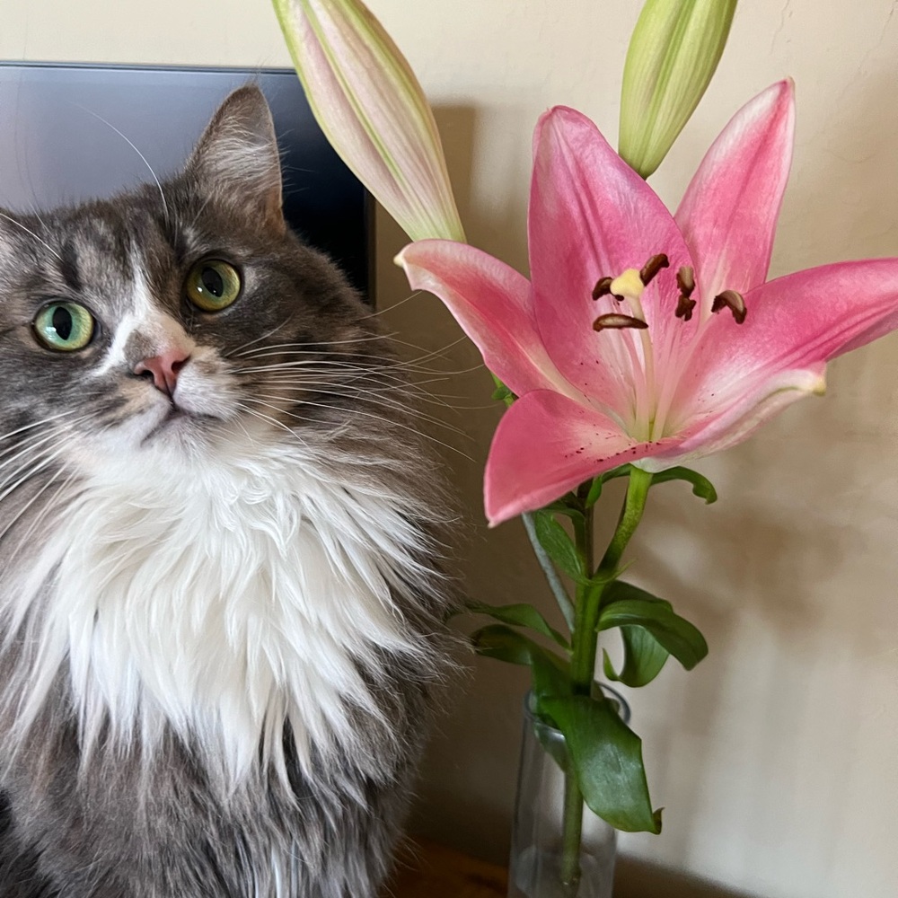 Meet your Posher, Megan